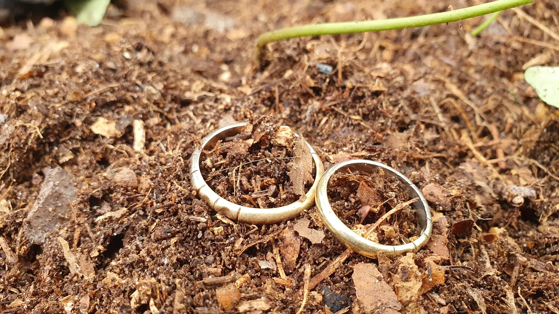 Zwei Eheringe in der Erde – verlorener Goldring im Garten