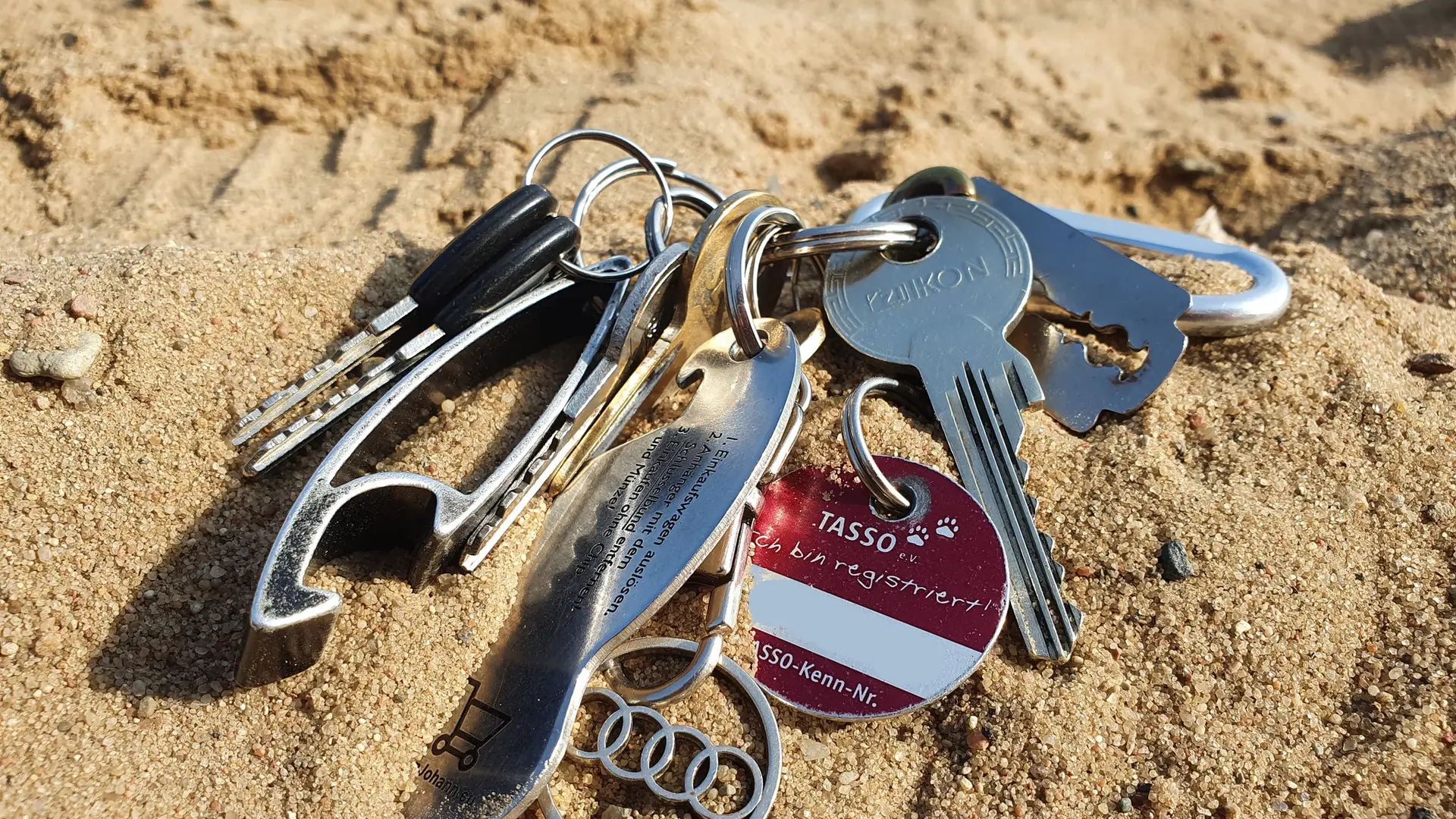 Im Sand gefundene Wertsachen – häufige Fragen zur ehrenamtlichen Ringsuche
